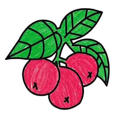 水果简笔画图片大全带颜色 水果简笔画图片大全带颜色蔬菜