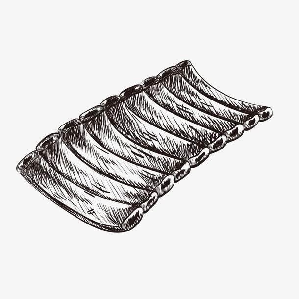 排骨简笔画 排骨简笔画图片彩色