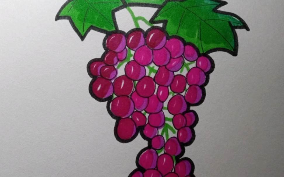 葡萄图片简笔画 一串葡萄图片简笔画