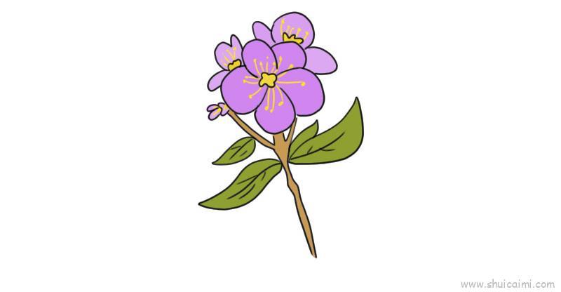 紫罗兰儿童画怎么画 紫罗兰简笔画好看