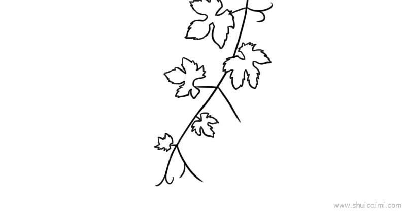 葡萄叶子儿童画怎么画 葡萄叶子简笔画图片大全