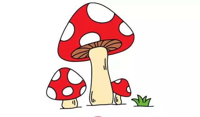 蘑菇简笔画图片大全可爱 蘑菇简笔画图片大全可爱卡通