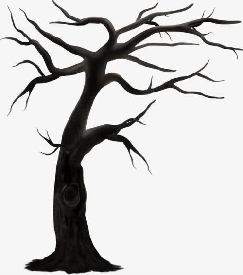 树干简笔画 树干简笔画简单又好看