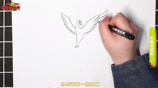 凤凰怎么画 凤凰简笔画漂亮卡通