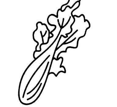 菜简笔画图片大全 水果蔬菜简笔画图片大全