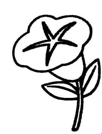 牵牛花简笔画 牵牛花简笔画图片