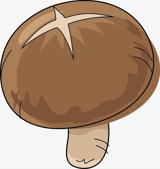 香菇简笔画 香菇简笔画彩色