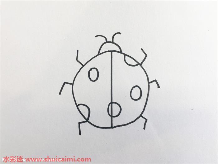 昆虫怎么画 昆虫简笔画彩色