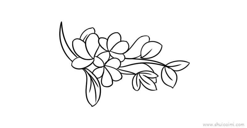 摘抄花边儿童画怎么画 摘抄花边简笔画图片