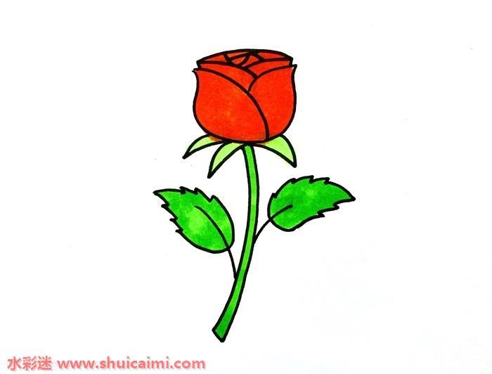 玫瑰花怎么画 儿童画玫瑰花简笔画步骤