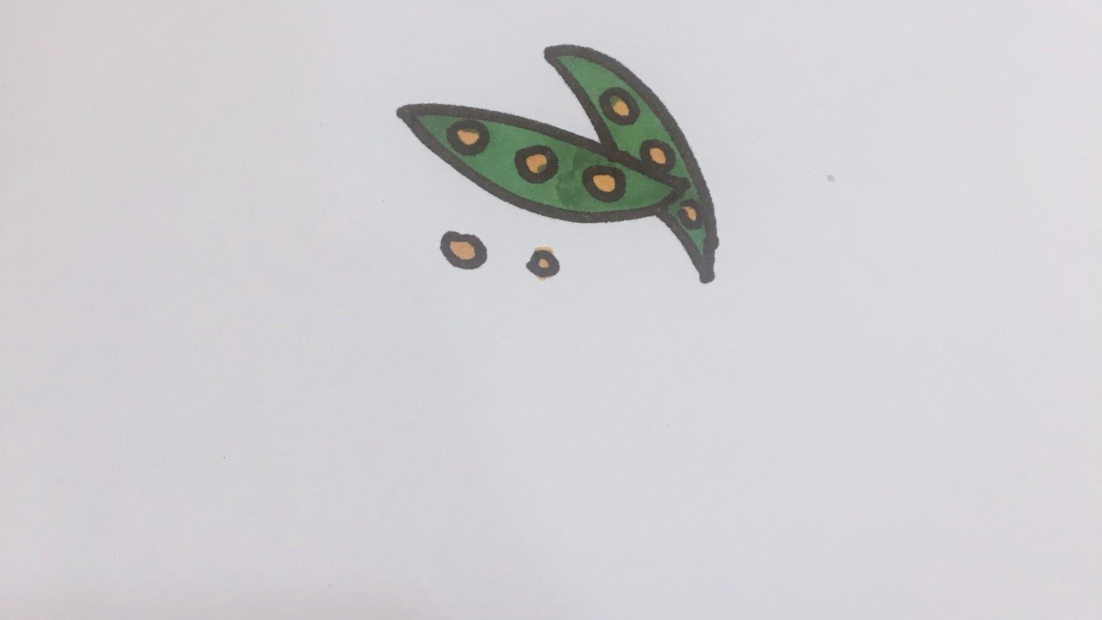 豆角简笔画怎么画 豆角简笔画简单又好看