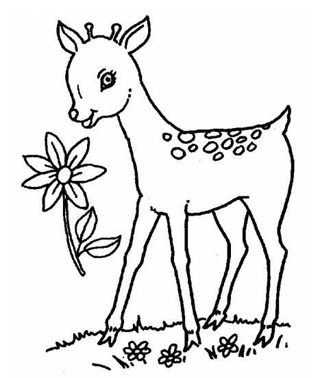 梅花鹿简笔画图片大全大图 梅花鹿简笔画图片大全大图