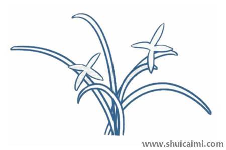 兰花儿童简笔画