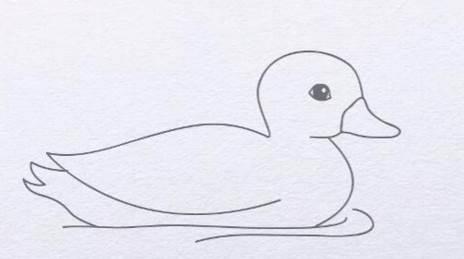 鸭的简笔画图片大全 鸭的简笔画图片大全彩色