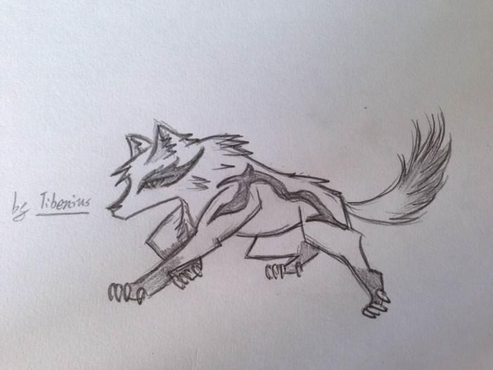 霸气狼简笔画图片大全 霸气狼简笔画图片大全彩色