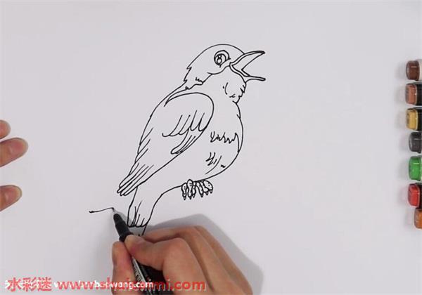 夜莺怎么画 夜莺简笔画画法