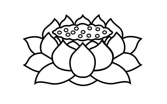 荷花简笔画 荷花简笔画怎么画