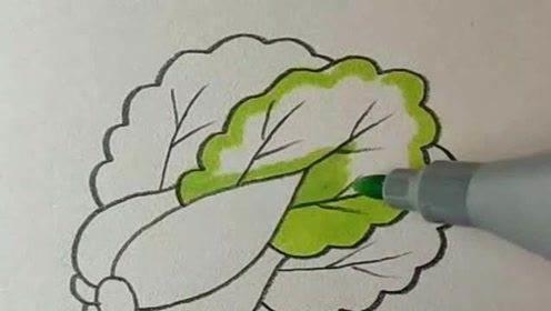 白菜简笔画图片 画大白菜简笔画图片