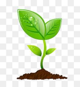 禾苗简笔画 禾苗简笔画简单又好看