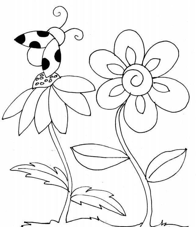 花简笔画 花简笔画彩色