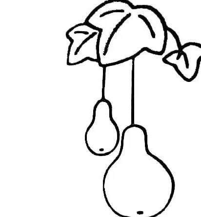 葫芦简笔画图片大全 卖糖葫芦简笔画图片大全