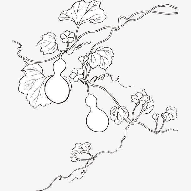 葫芦简笔画图片大全集 葫芦简笔画的图片