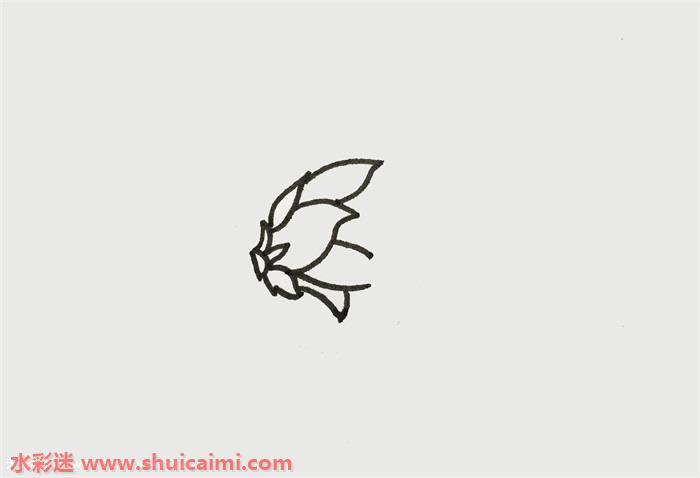 火龙果怎么画 火龙果简笔画图片大全彩色