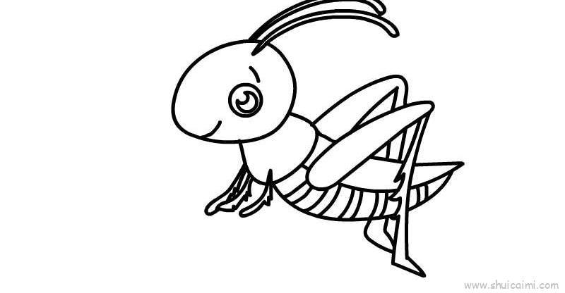 蚱蜢儿童画怎么画 蚱蜢简笔画画法