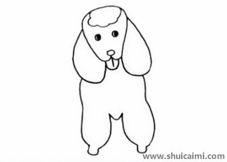 贵宾犬儿童简笔画