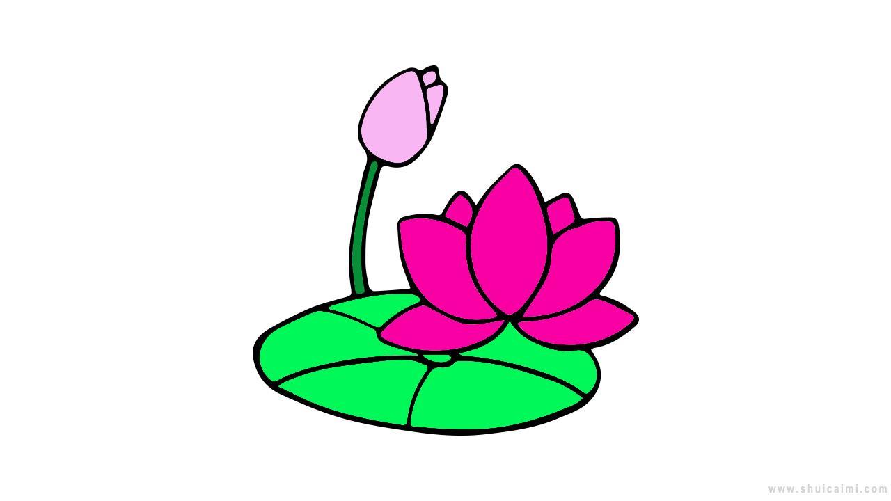 荷叶荷花简笔画怎么画 荷叶荷花简笔画简单