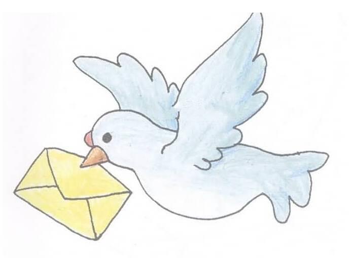 鸽子简笔画 鸽子简笔画简单漂亮
