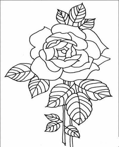 画花简笔画 如何画花简笔画
