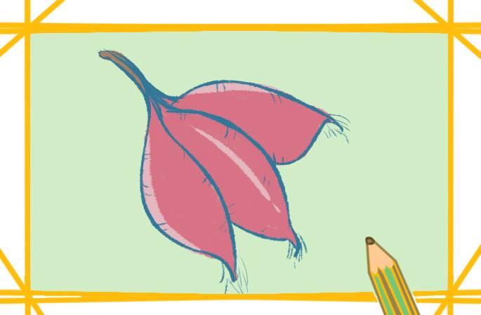 红薯简笔画 红薯简笔画彩色