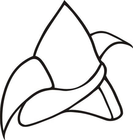 粽子简笔画图片大全 粽子简笔画图片