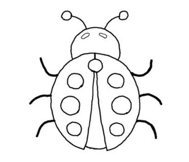 昆虫简笔画 昆虫简笔画大全带颜色