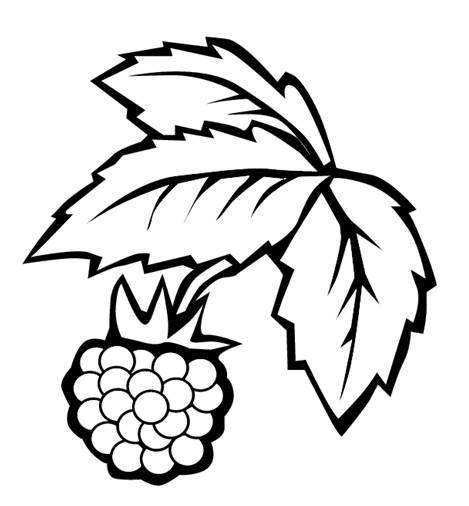 简笔画水果 简笔画水果拼盘