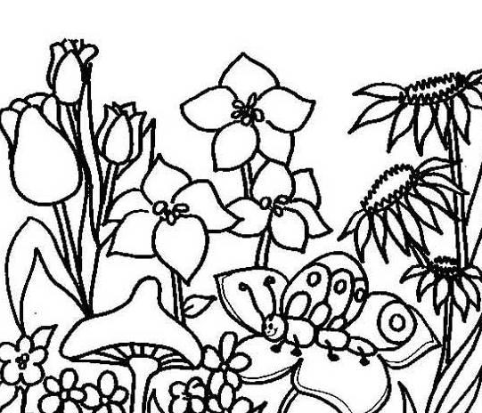 花草树木简笔画图片大全 花草树木简笔画图片大全风景