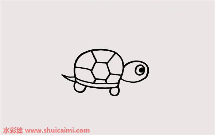 乌龟怎么画 乌龟简笔画步骤