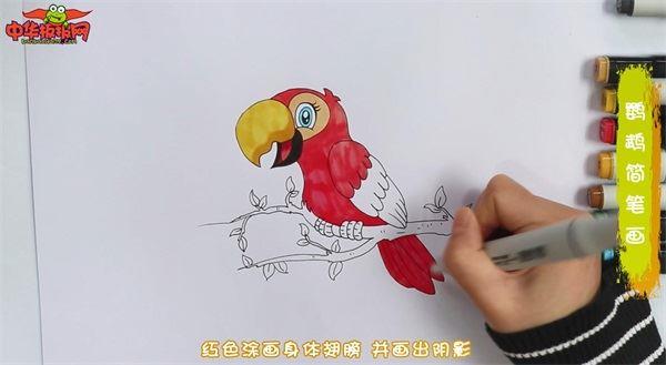 鹦鹉怎么画 鹦鹉简笔画画法