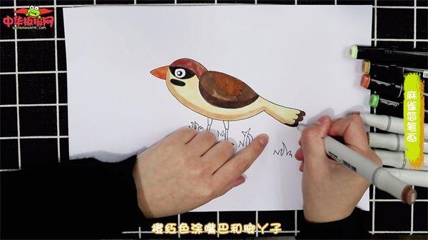 麻雀怎么画 麻雀简笔画简单彩色