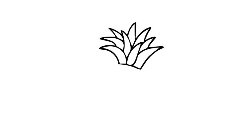菠萝如何画简笔画怎么画 菠萝如何画简笔画顺序