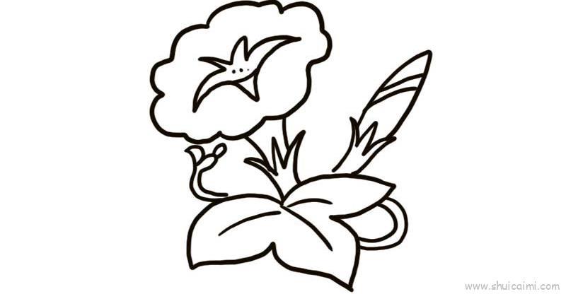白色牵牛花儿童画怎么画 白色牵牛花简笔画简单