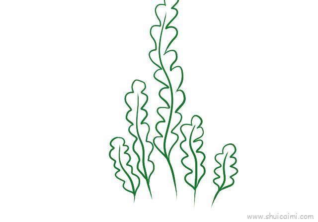 水草儿童画怎么画 水草简笔画步骤