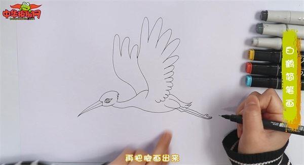 白鹤怎么画 白鹤简笔画彩色