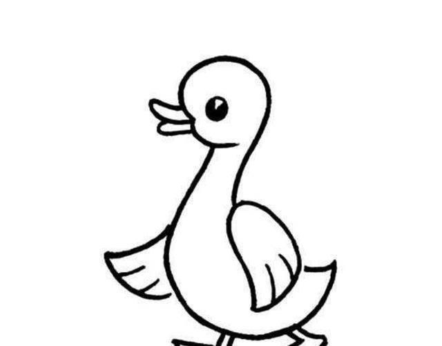 小动物简笔画图片大全可爱 小动物简笔画图片大全可爱卡通