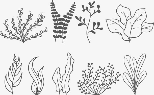 海草简笔画 海草简笔画简单又漂亮