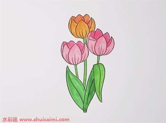 郁金香怎么画 郁金香简笔画简单彩色