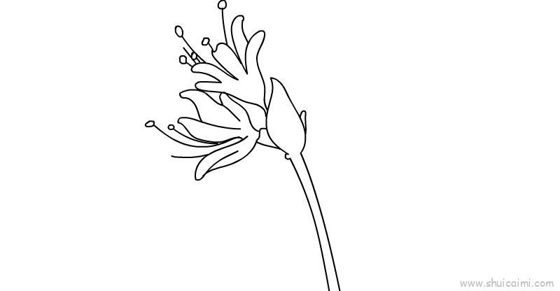 彼岸花儿童画怎么画 彼岸花简笔画画法