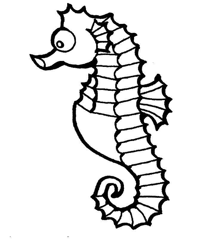 海马简笔画 海马简笔画儿童画