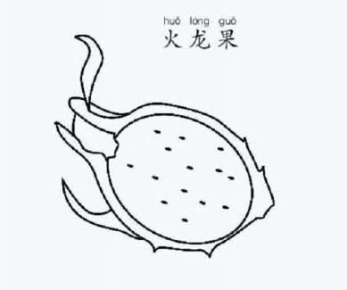 火龙果简笔画 火龙果简笔画图片带颜色